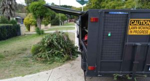 Green-Waste-Removal-North-Perth