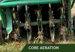 core-aeration