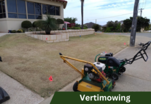 Vertimowing Services