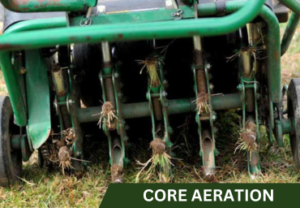 Core Aeration