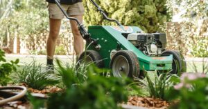 Vertimowing in Springtime in Perth